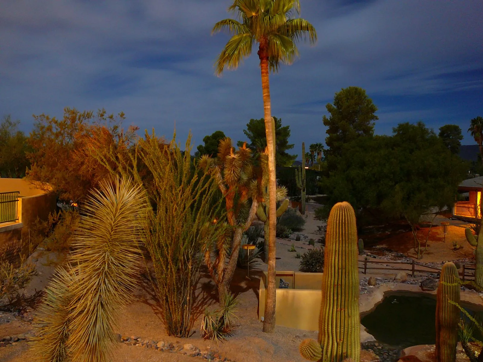 Desert gardens at dusk on the grounds of the Carefree resort property that became CIVANA Wellness Resort