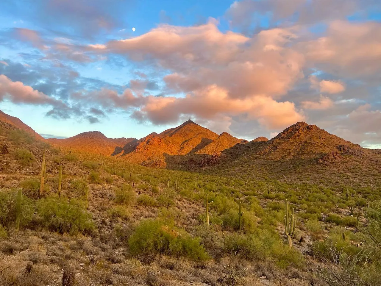 Thompson Peak seen from the Bell Pass trail in the McDowell Sonoran Preserve, with saguaros dotting the desert slopes
