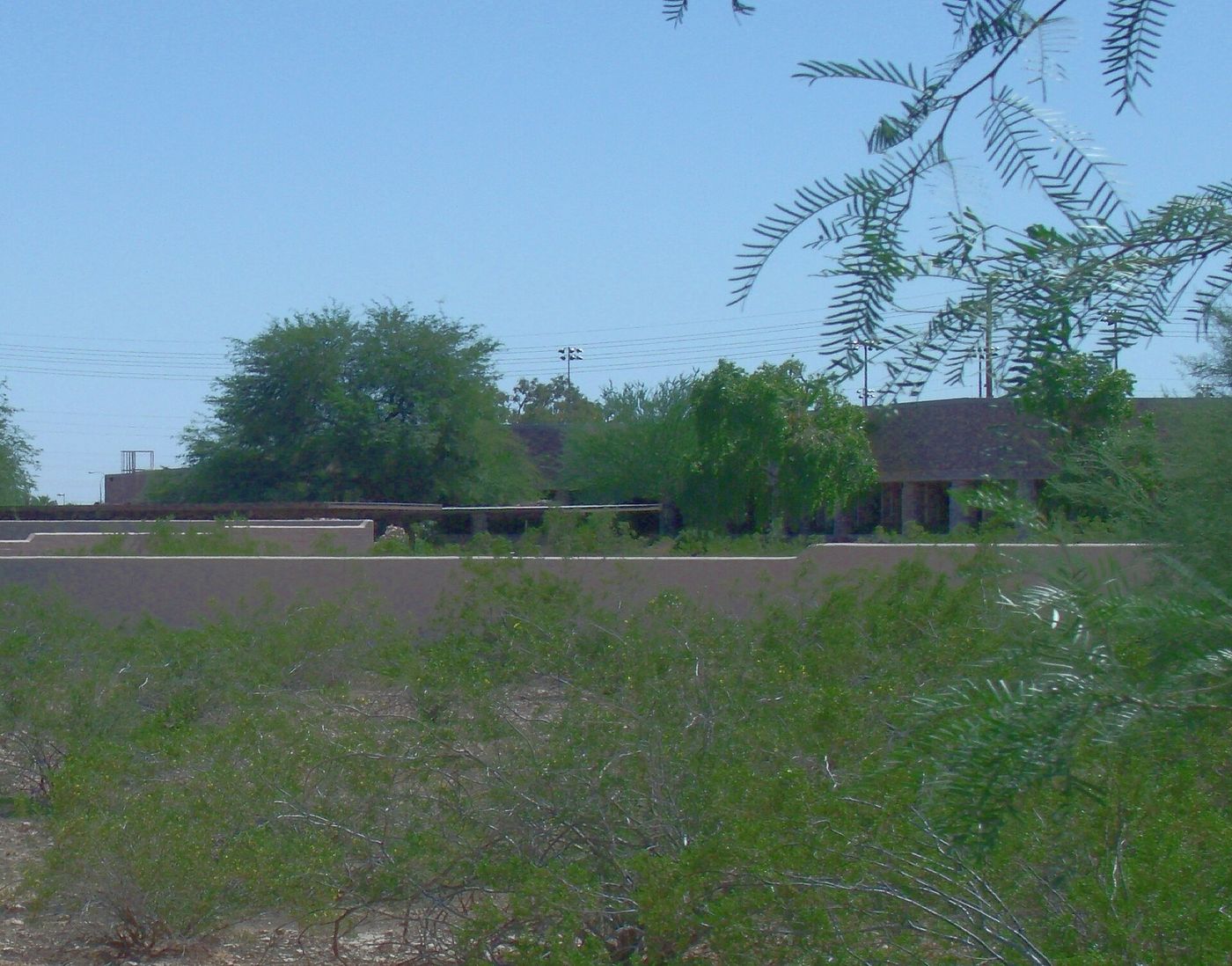 Riders at the Valley Field Riding and Polo Club near Scottsdale, established 1924